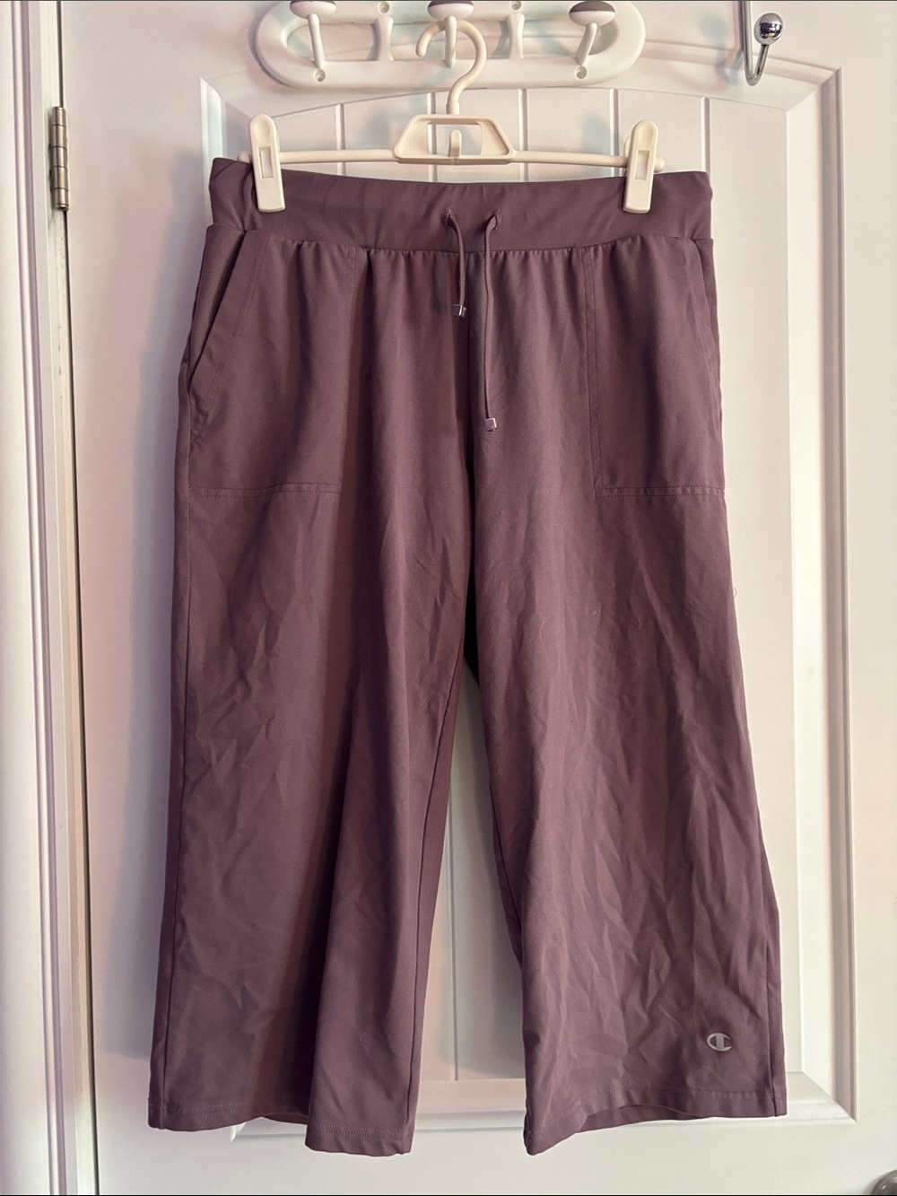 Champion Wide-Leg Drawstring Sweatpants in Mauve